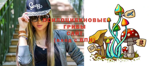 тгк Армянск
