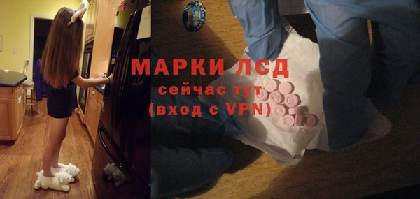 гашик Арсеньев