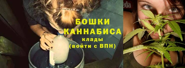 гашик Арсеньев