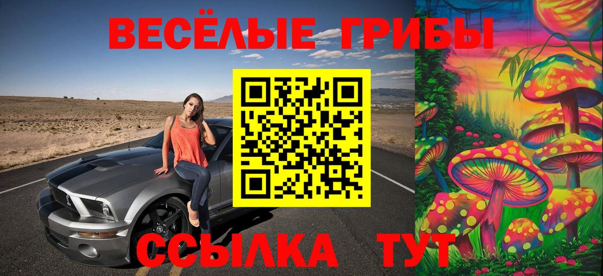 Псилоцибиновые грибы мицелий Ахтубинск