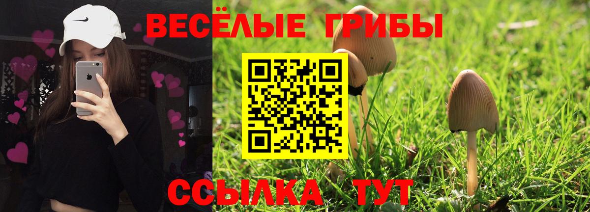 МЕФ кристаллы  Ахтубинск  Вход с VPN  ГАШИШ  Кодеин  ГАШИШ  Кокаин  A-PVP СК кристаллы  Марихуана 