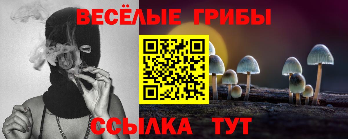 Галлюциногенные грибы ЛСД  Вход с VPN  Ахтубинск  Псилоцибиновые грибы мицелий 