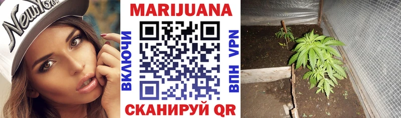 даркнет сайт Ахтубинск Бошки марихуана VHQ